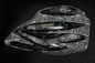 Preview: Orthoceras
